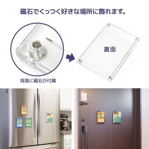 The Case PRO Standard Size