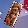 Süße Cockapoo Hund Hülle Für Oppo A17 A60 A40 A80 A16 A76 A96 A98 A58 A78 A18 A38 A57 A74 A54 A94 A15 A5 A6 Pro