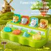 Interactive Pop Up Animals Toys Kids Hide Seek Switch Box 6 12 Months Cause and Effect Toys Montessori Development Sensory Toys