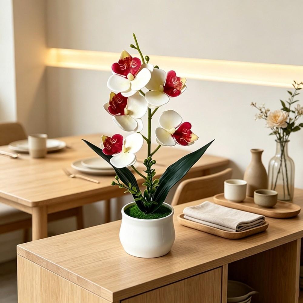5 Heads Artificial Orchid Potted Flower Pink with White Pot Simulated Flower Butterfly Orchid Potted Plastic Multi-Bloom