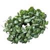 VEVOR Artificial Decorative Wreath, 26 In, Green, Decorated with Eucalyptus Leaves, Berries, Thorny Stems