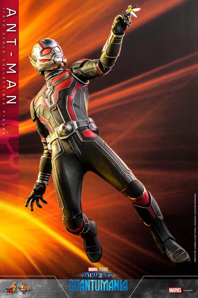 Movie Masterpiece and the Quantomania Scale Figure Ant-Man Wasp Ant-Man 1/6