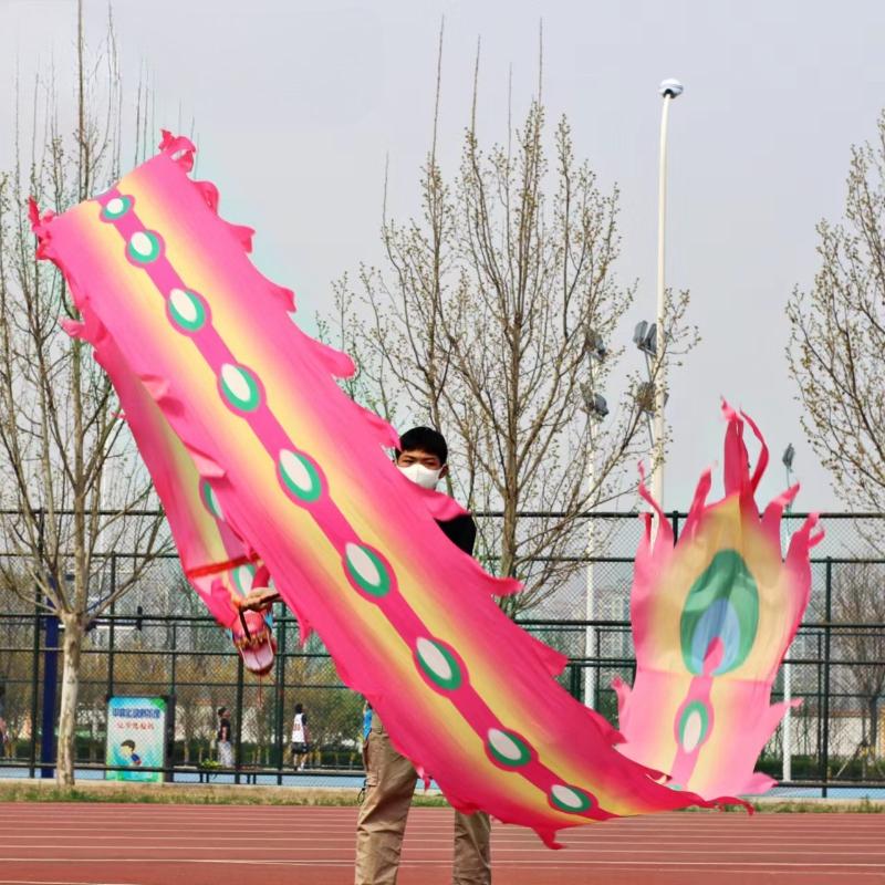 Dragon Dance Ribbon with Head Chinese New Year Gift Festival Performance Props Outdoor Fitness Wu Long Products