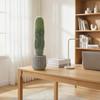 Artificial Cactus, 66 Cm, Decorative Plant with Pot, Indoor Decoration, Green
