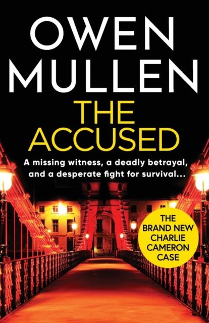 Kniha The Accused : A Page-turning Crime Thriller from Owen Mullen