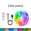 USB Powered RGB Light Strip Static Modes 3 Key Control LED Light Strip Dynamic Modes Color Light TV Background Light