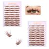 Brown Lashes New Type 10 Rows Glue Free Lashes Easy Application Eyelashes Reusable Lash Clusters with No Glue Needed