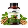Herb Island Ashwagandha Capsules for Daily Stress Support & Vitality, 5% Withanolides, 1100 Mg Per Serving, Root Powder & Extract, 60 Vegetarian
