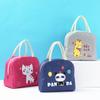 Cationic Waterproof Insulated Large Lunch Bag with Ice Pack for Picnics and Travel