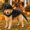 Dog Dinosaur Skeleton Costume for Halloween Pet Apparel and Dress Up