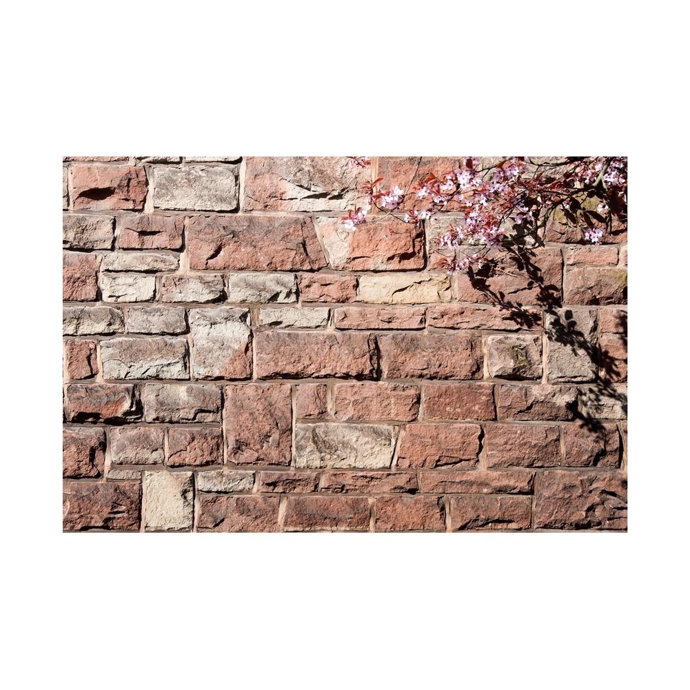 

Деревенский фон для фотосъемки с кирпичной стеной, для крестин, мероприятий и фестивалей, фотобудок и тематических событий, ткань для фона для вечеринки, декор 5*3ft (150*100cm)