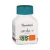 Himalaya Wellness Pure Herbs Amalaki Immunity Wellness 60 Tablets Boost Natural Defense System Skin Health