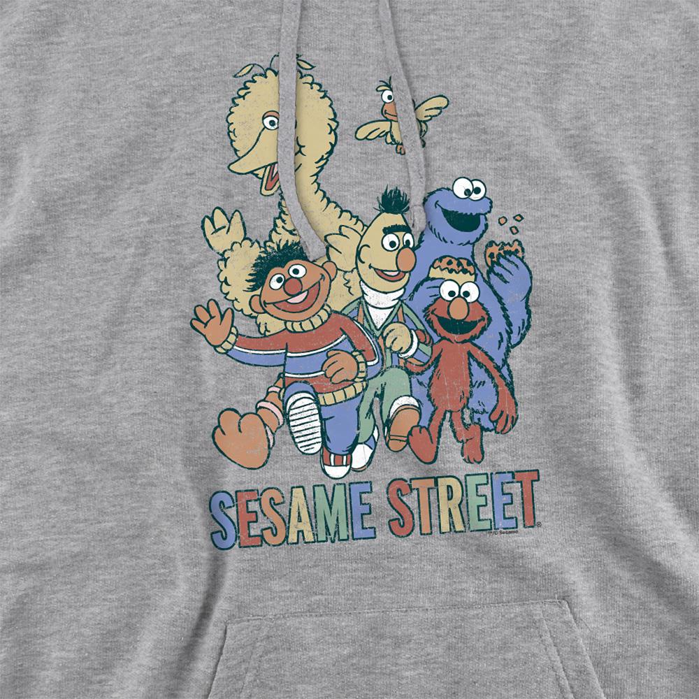 Sesame Street Unisex Adult Colorful Group Heather Hoodie