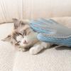 Bath Comb Dogs Hair Remover Brush Massage Cleaner Tool Newly Upgraded Cat Brush Gloves