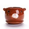 Succulent Cartoon Flowerpot Ceramic Lightweight Breathable Simple Plant Creative Personality Flowerpot