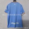 26/27 New La Liga Celta Jersey Aspas, Hutegra Short-sleeved Sports Football Jersey