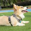 Astro Blue Training Harness For Walking Dogs, Size S