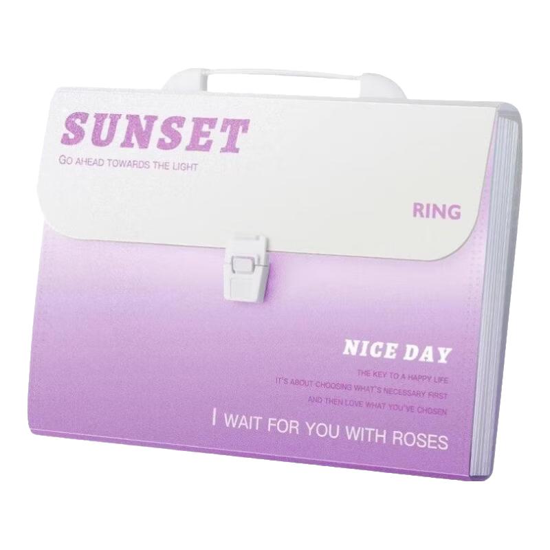 Wengu A4 Portable Expanding File Folder Document Organizer