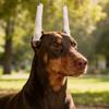 10Pcs Soft Foam Rods Dog Ear Stand Up Tool Prevent Ear Fold Dog Ear Erecting Kit  Dog Accessory