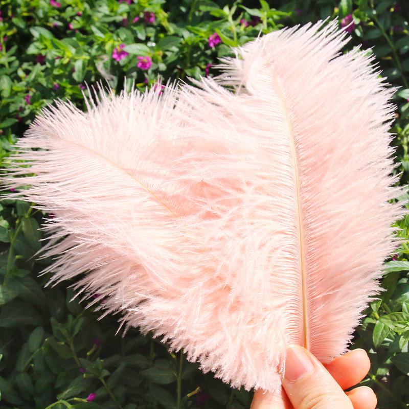 Large 15-20cm Ostrich Feathers for Wedding Arrangements and Stage Props