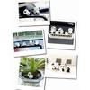 6 Pack Cartoon Panda Figurines Small Animal Models Miniatures Ornaments for Cake Toppers and Car Decors Accessories