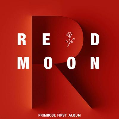 Primel - Roter Mond