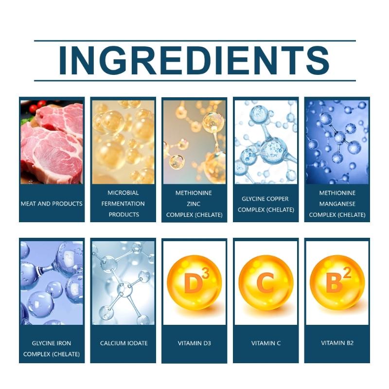 Minerals Supplement Tablets for Dogs 80 Tablets Support Healthy Growth and Daily Nutrition Need Immune Improve