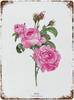 Vintage Metal Tin Signs Pink Rose Botanical Valentines Day Sign Aluminum Poster Funny Novelty Metal Signs Kitchen Bar Club G