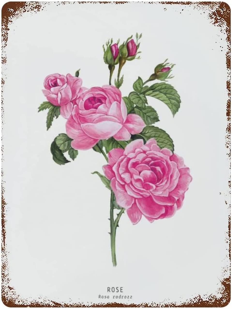 Vintage Metal Tin Signs Pink Rose Botanical Valentines Day Sign Aluminum Poster Funny Novelty Metal Signs Kitchen Bar Club G 20x30cm(7.8x11.8inch)