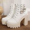 2026 New Block Heel Women's Shoes Round Toe Platform Belt Buckle Super High Heel Platform Stage Performance Booties