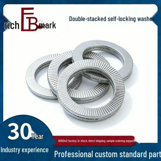 304 Stainless Steel Self-Locking Double Coil Washer - Anti-Loosening Model 4
