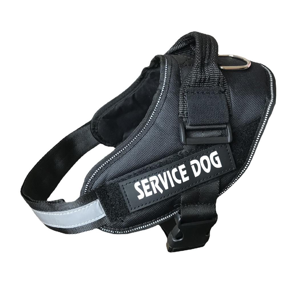 Pet with Dog Leash Large Dog Golden Retriever Dog Chest Strap Dog Leash Walking Dog Leash