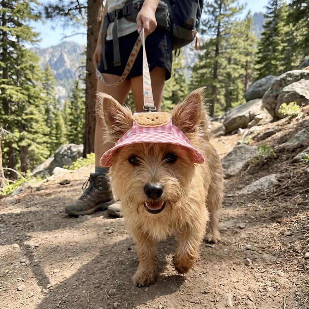 Adjustable Dog Fisherman Hat Cartoon Pattern Dog Visor Hats Pet Sun Hat Spring Summer