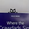 2D Acrylic Flat Black Cat Head and Paw Bookmark Is Perfect for Giving To Cat Lovers, Students, Teachers, Readers and Book Lovers