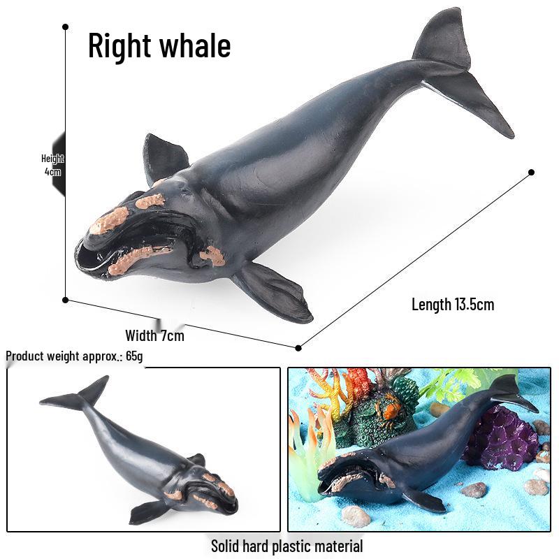 Children's Marine Animal Toy: Whale, Shark, Humpback Whale Model