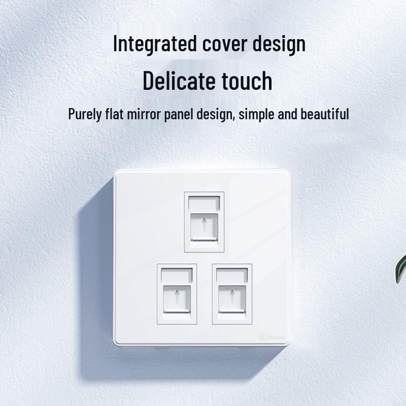 BIAZE 3-Port Network Wall Plate for Data/Phone Modules