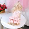 Pet Spring Summer Cake Dress Three-dimensional Flower Lace Teddy Bigbear Holiday Dress
