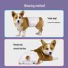 Absorbent Disposable Dog Diapers for Male Pets - Deodorant Physiological Pants