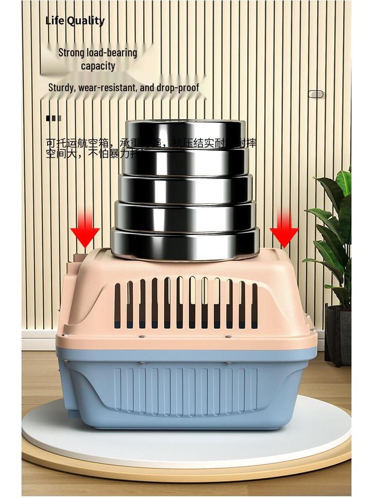 Portable Pet Airline Carrier: Space Capsule Cat Bag & Dog Cage for Small/Medium Pets