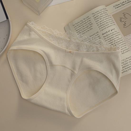 Women Cotton Underwear Mid Rise Seamless Cheeky Hipster Panties Soft Stretch Sexy Lace Bikini Briefs