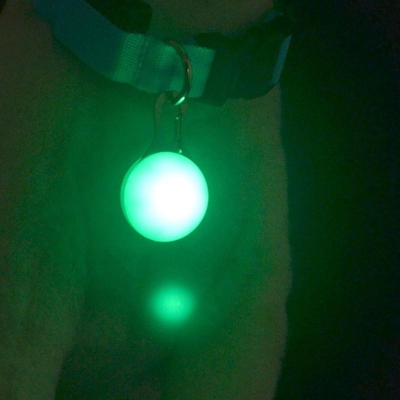 1 STKS Hond Knipperende LED Anti-verloren Hanger Clip-on Ronde Kraag Dierbenodigdheden