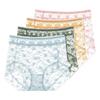 Lace High Waist Panties for Women Sheer Mesh Stretchy Briefs Sexy Comfortable Underwear Plus Size Lingerie