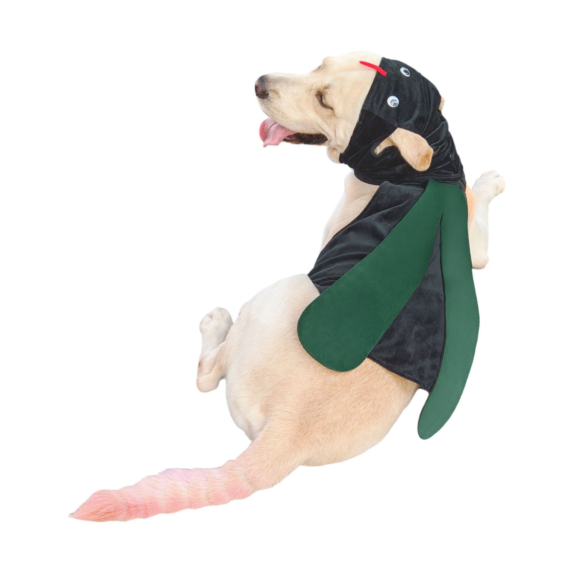 

New Halloween pet clothes, mosquito suit, funny shape, hooded, small, medium and large dog transformation B 13-3.5kg зелений