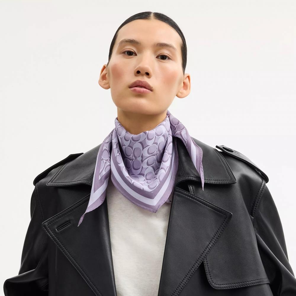 Coach Signature Silk Diamond Scarf Violet Mist