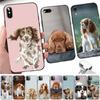 Cocker Spaniel Dog Phone Case for iPhone 11 12 13 Mini Pro XS MAX 8 7 6 6S Plus X 5S SE 2020 XR Case