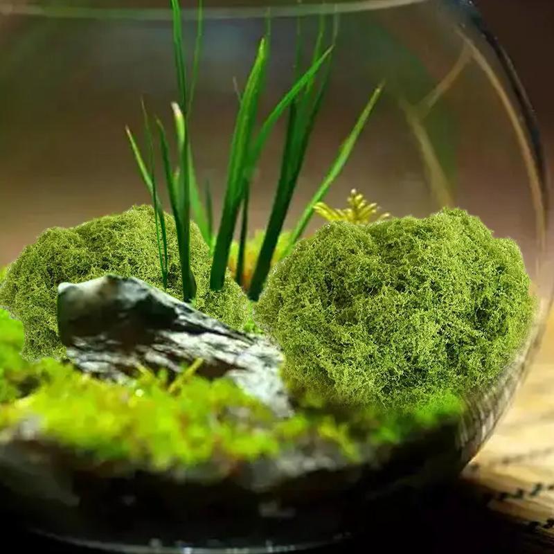 Künstliches Moos Fake-Moos Wollähnliches Dekoratives Moos Künstliches Moos Fake-Moos Für Mooswände Glasaquarium-Moos Mooskränze