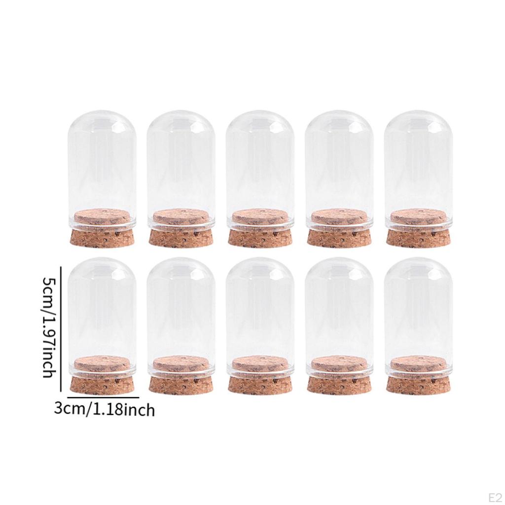 10er-Pack Glas-Display-Glocken für die Präsentation von Sammlerstücken