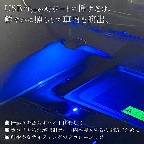 Rise Japan Car USB Type-A Illumination Hand Light Footlight Custom