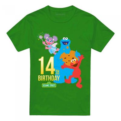 Sesame Street Unisex Adult 14th Birthday T-Shirt