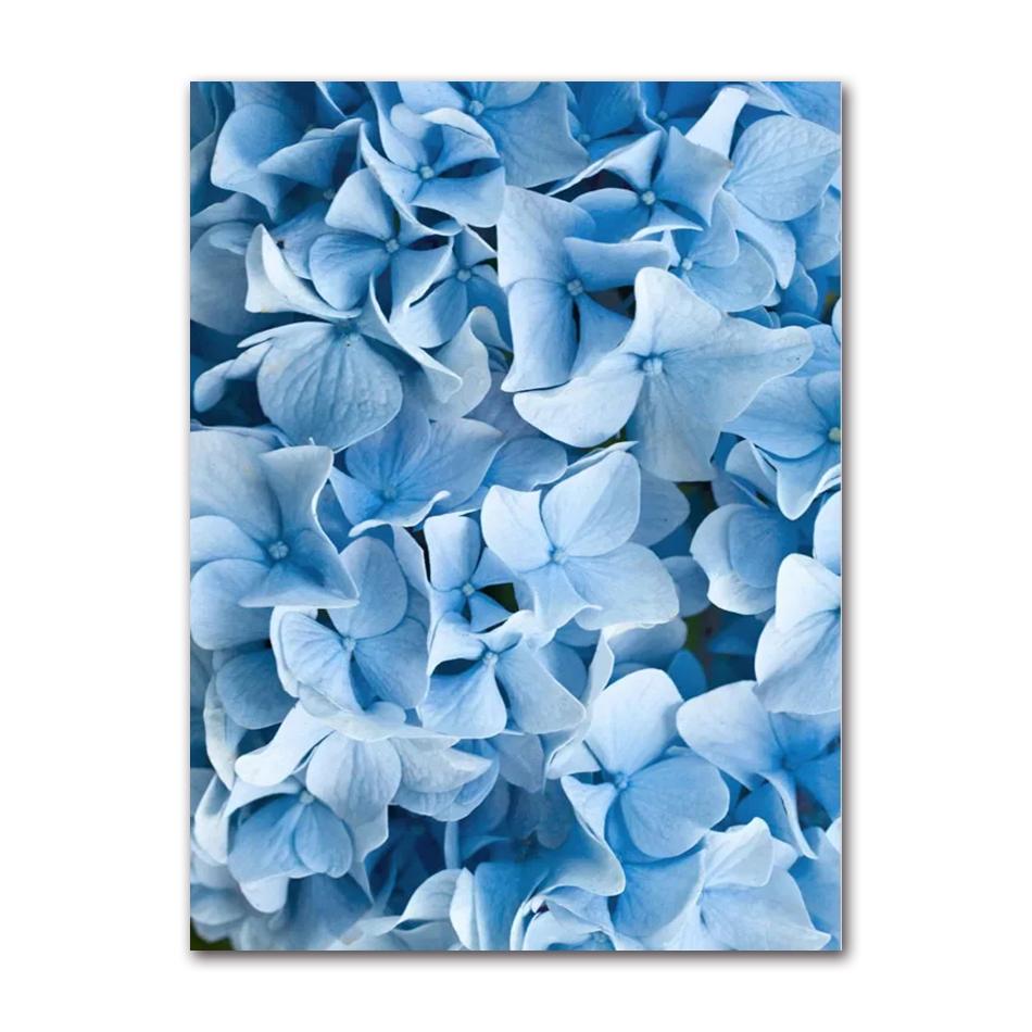 Wall Art Blue Tone Dandelion Peony Orchid Flower Oil Painting Spring Poster and Printmaking Living Room Home Decoration Pictures